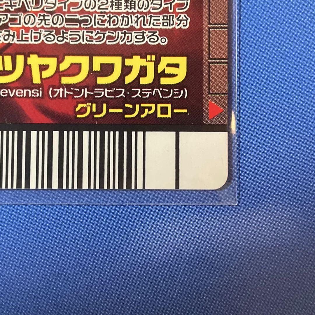 Amazon.co.jp: ムシキング ダイヤモンドブルー スティーブンス